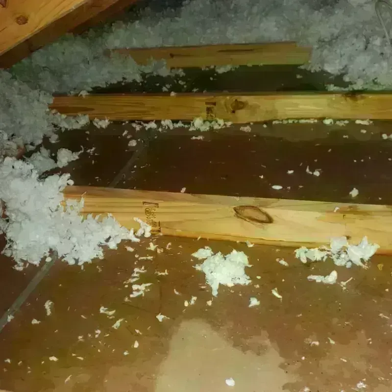 Attic Water Damage in Muskego, WI