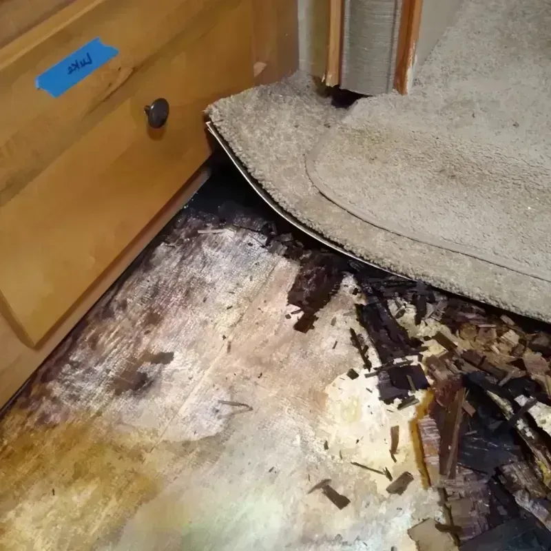 Best Wood Floor Water Damage Service in Muskego, WI